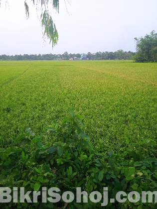 পূর্বাচল ৩০ নং সেক্টরে জিন্দপার্ক লেক ভিউ ২৬ শতাংশ জমি